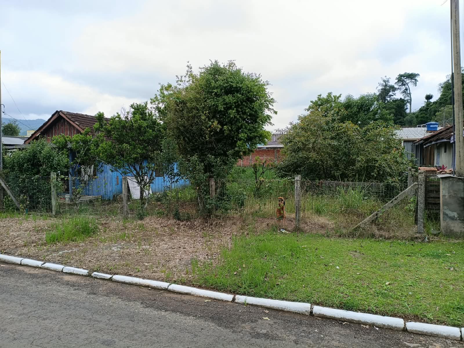 Terreno no Sander (foto 3 de 3)